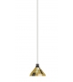 Parrot Forestier Suspension