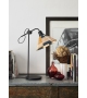 Parrot Forestier Lampe de Table