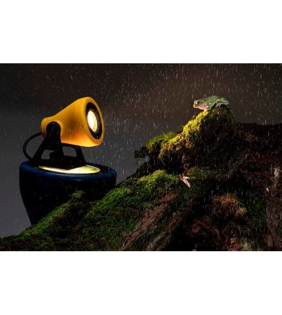 Minifrog Martinelli Luce Stehleuchte/Wandleuchte