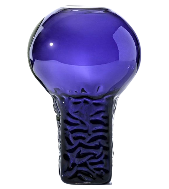 Anatomy Venini Vaso