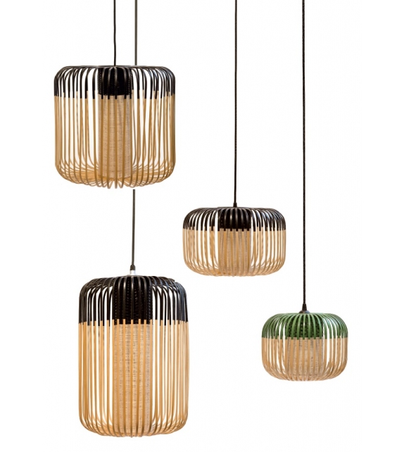 Bamboo Forestier Suspension