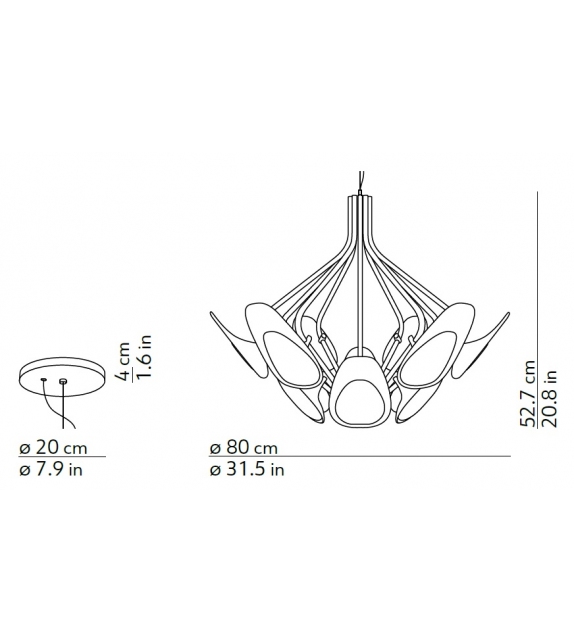 Peacock Kundalini Suspension