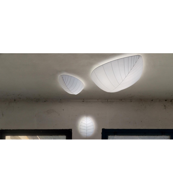 Eden "Eden" Karman Wall Lamp