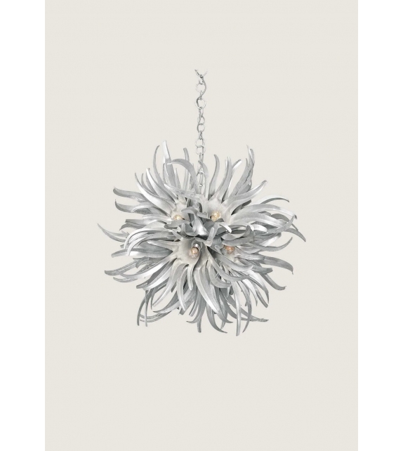 Urchin Porta Romana Suspension