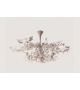 Ivy Shadow Porta Romana Ceiling Lamp