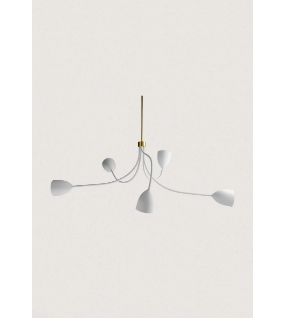 Tulip Porta Romana Ceiling Lamp