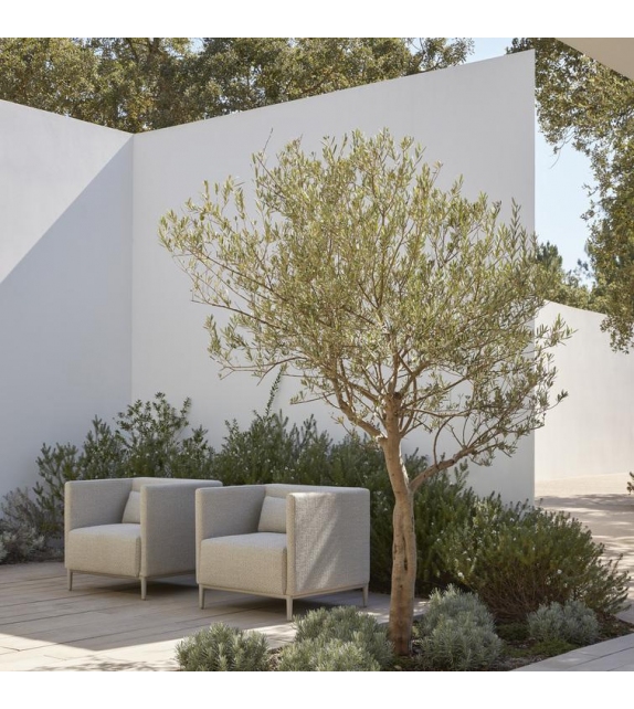 Zendo Sense Manutti Armchair