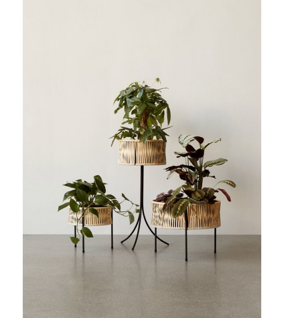 Umanoff Menu Blumenkastens