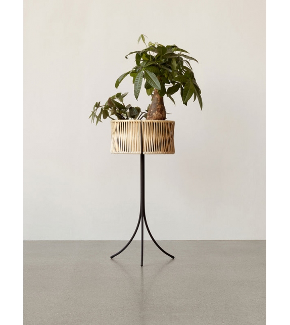 Umanoff Menu Blumenkastens