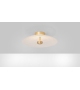 Cielo CTO Lighting Wall/Ceiling Lamp