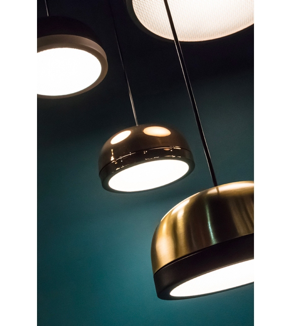 556 Molly Tooy Lustre