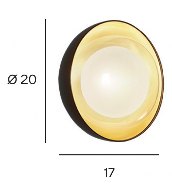 Muse Tooy Ceiling/Wall Lamp