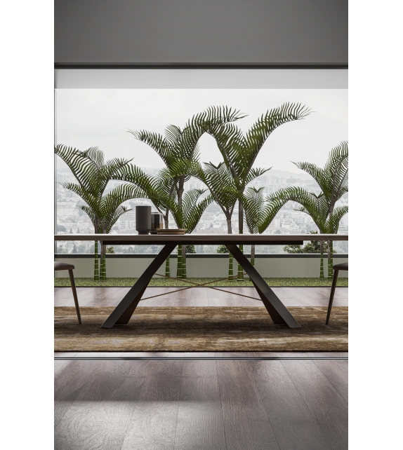 Charlize Gual Design Mesa