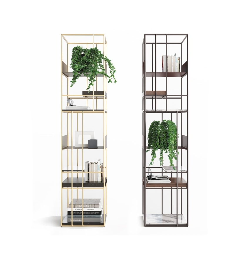 Taylor Opera Contemporary Bookshelf