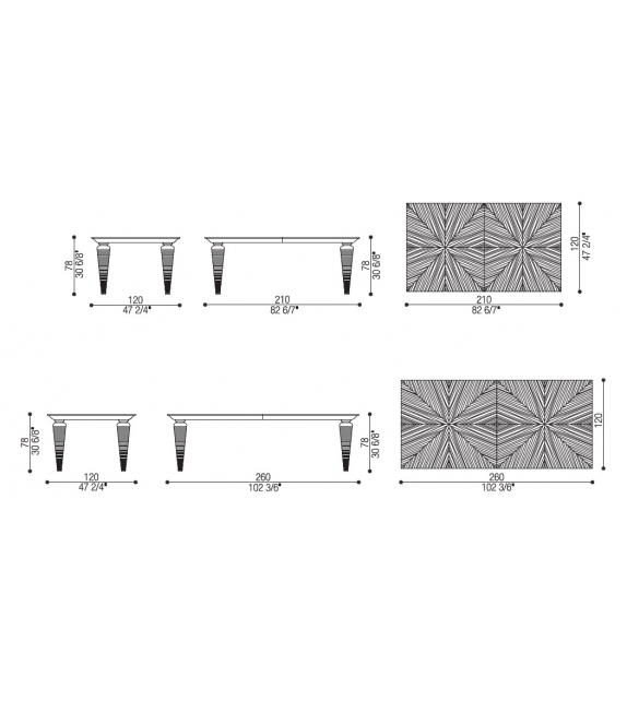 Fidelia Opera Contemporary Mesa