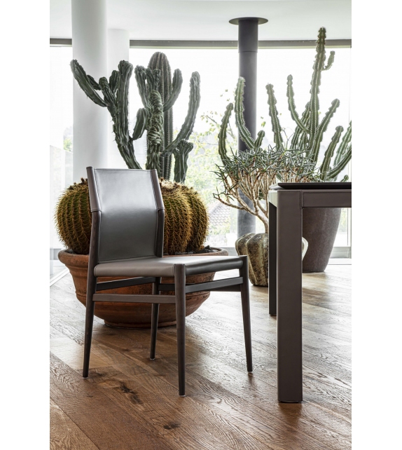 Ledermann Enrico Pellizzoni Chair