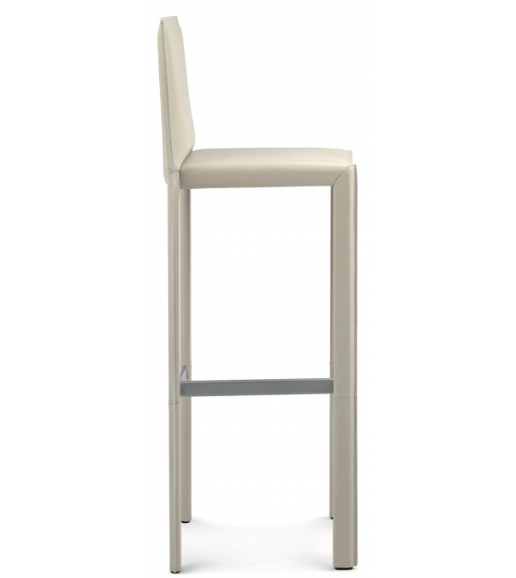 Pasqualina Enrico Pellizzoni Hocker