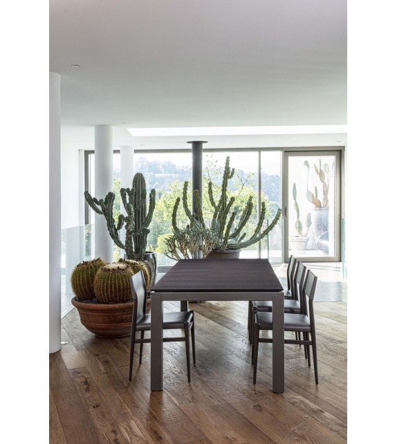 Abaco Enrico Pellizzoni Tavolo