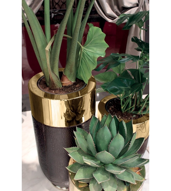 Godwin Longhi Cache-Pot