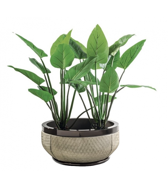 Godwin Longhi Cache-Pot