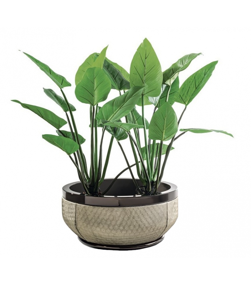 Godwin Longhi Cache-Pot