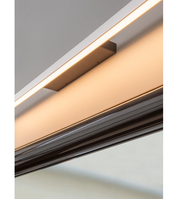 Linescapes Nemo Applique