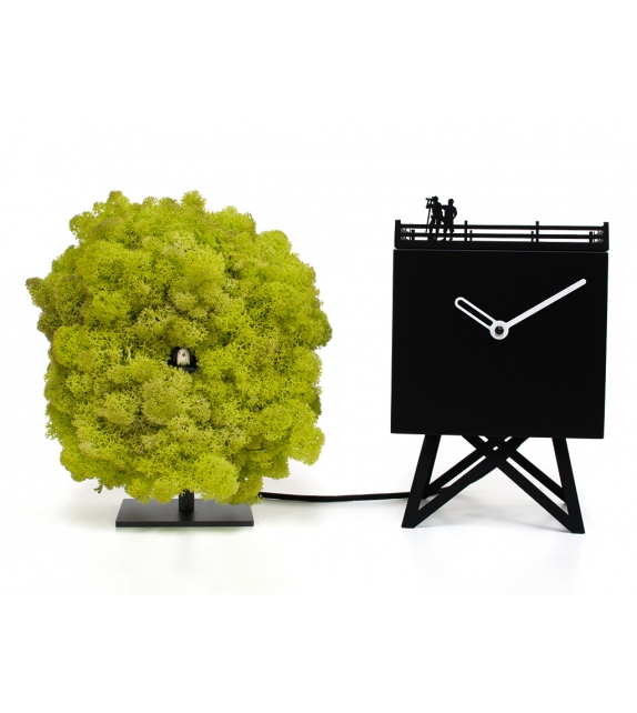 Birdwatching Orologio Progetti