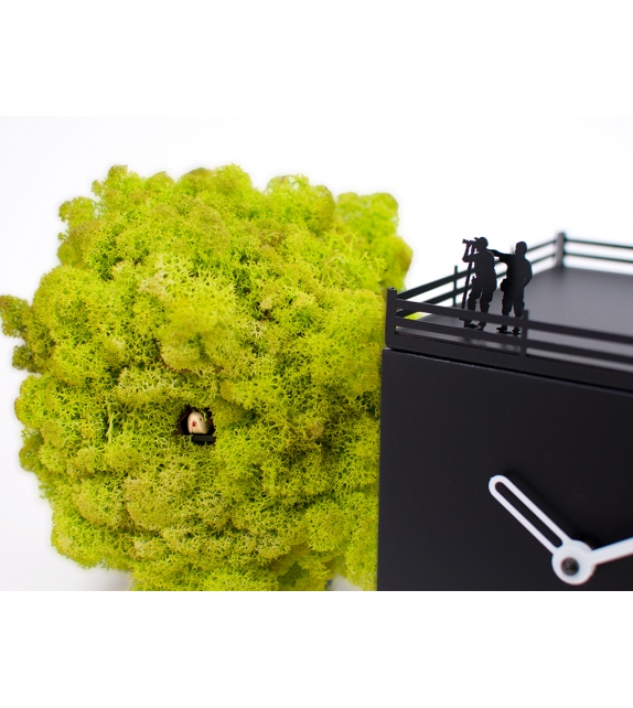 Birdwatching Uhr Progetti