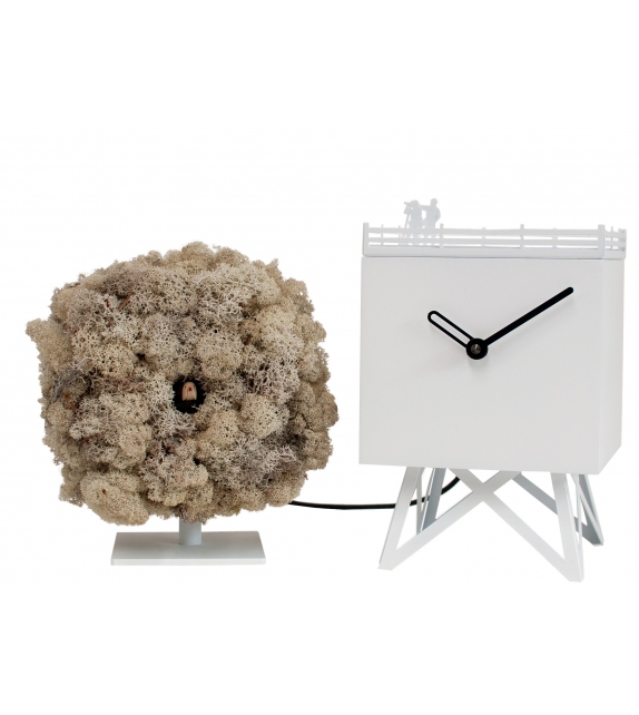 Birdwatching Horloge Progetti