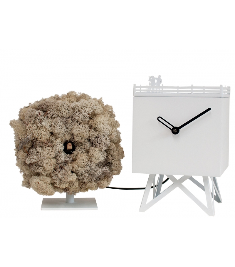 Birdwatching Orologio Progetti