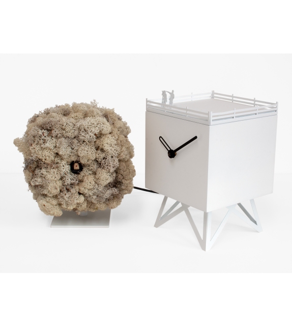 Birdwatching Clock Progetti