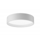 LP Circle Louis Poulsen Ceiling Lamp