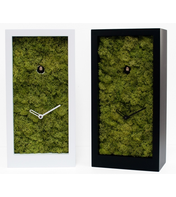 Amazon Progetti Reloj Cucú