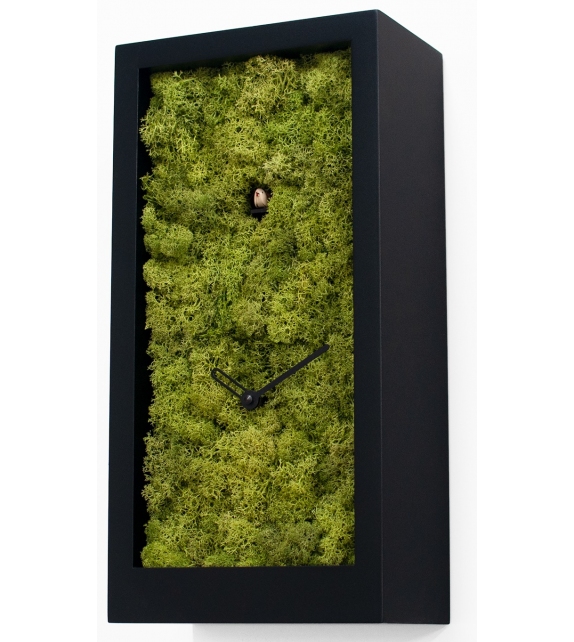 Amazon Progetti Orologio a Cucù