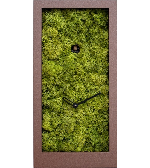 Amazon Progetti Orologio a Cucù