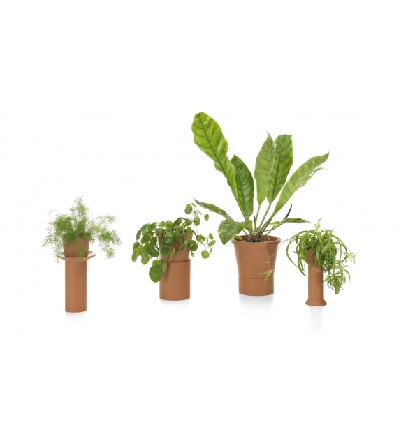 Terracotta Pots Vitra Vase