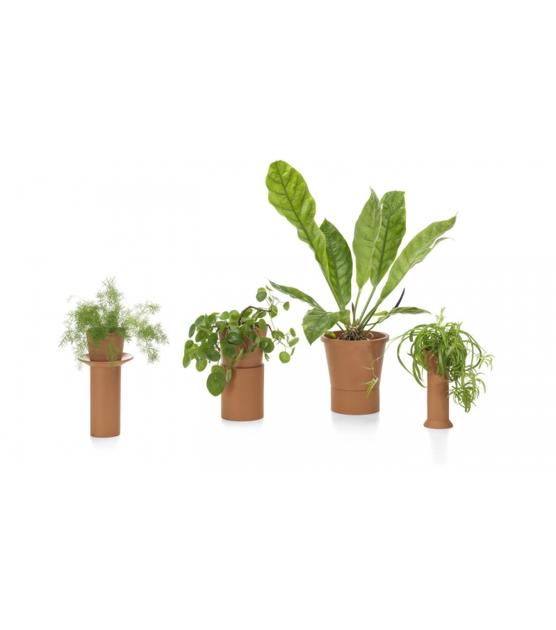 Terracotta Pots Vitra Vaso