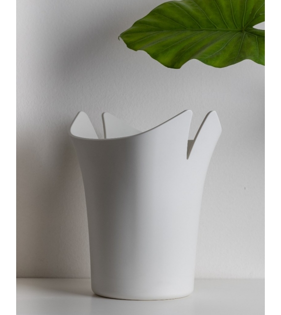 Calla Driade Glacette