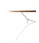 Branch Table Lido Cappellini Tisch