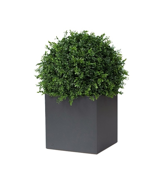 Röshults Linné Vase