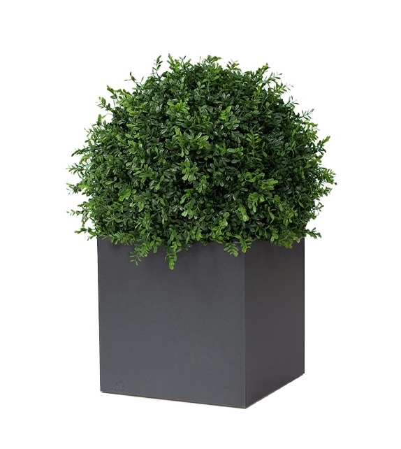 Röshults Linné Vase