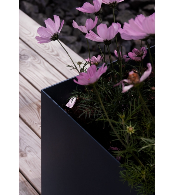 Linné Röshults Vase