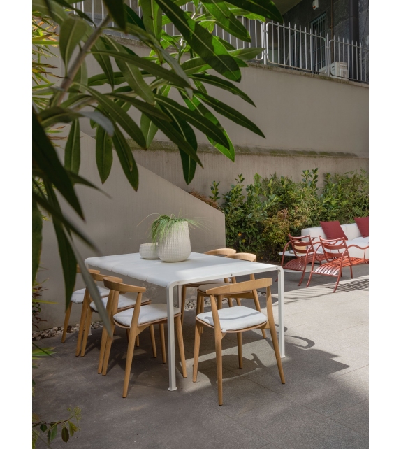 Newood Light Lido Cappellini Chair