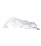 Zeila Panther Lalique Escultura