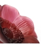 Anemone Lalique Escultura