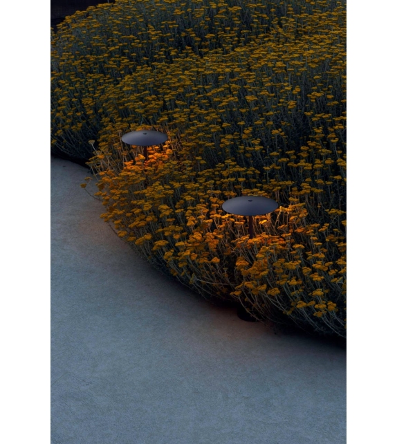 Ginger Bollard Marset Lámpara de Pie