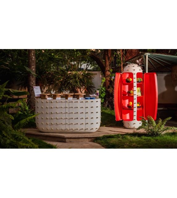 Oasis Scarlet Splendour Buffet