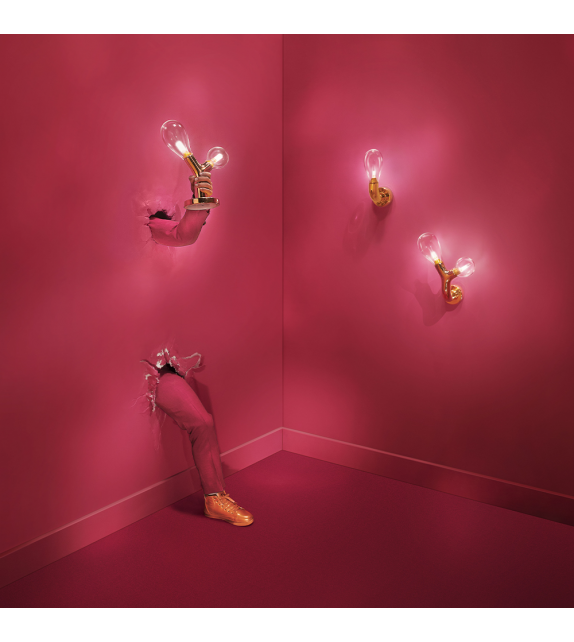 The Single Bulb Scarlet Splendour Applique