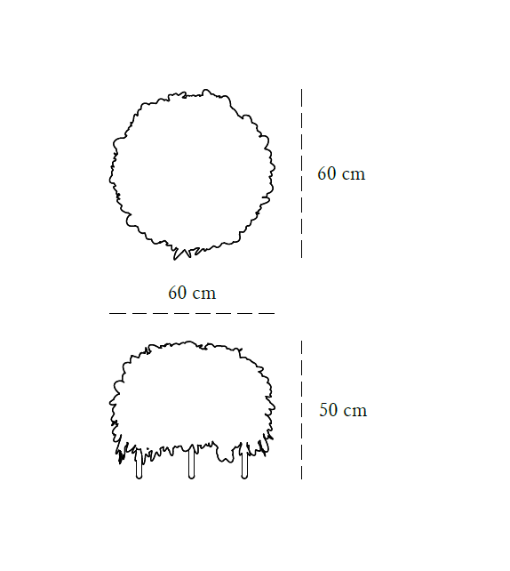 Leaf Scarlet Splendour Pouf