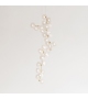Maehwa Chandelier Cascade 30 Giopato & Coombes Lustre